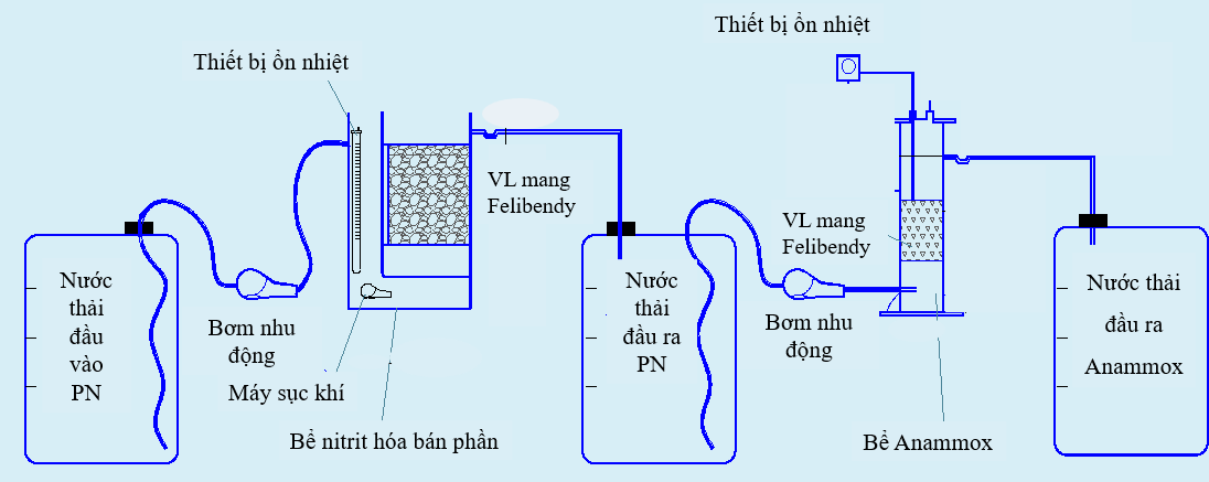 Xác định thông số động học của quá trình nitrit hoá bán phần/ anammox nhằm loại bỏ amoni trong nước thải sinh hoạt